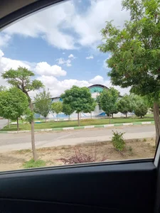 باشگاه شاهد