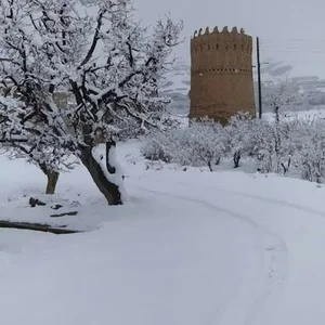 برج مدیا