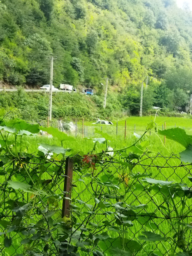 گنذر ماسال