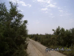 آشپزخانه و غذای آماده قصر