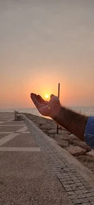 ساحل نخل تقی