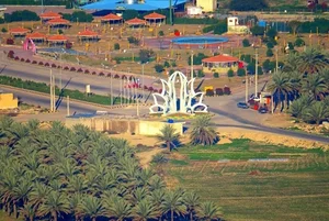 سبزیجات زیتون سبز