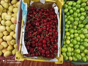 میوه و تره بار علیزاده