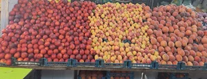 سوپر میوه بهنام 4