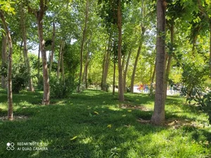 پارک گل نرگس 2