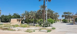 امامزاده فضل بن موسی