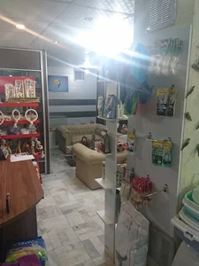 کلینیک دامپزشکی پاسارگاد