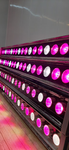 Ahvaz.grow.lights