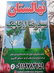 نهالستان و گلکده سیدرضاارگانیک دلند