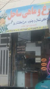 مرغ و ماهی ساحل