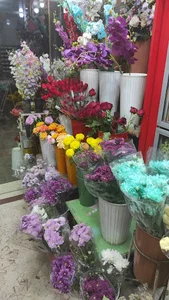 گلکده میثم