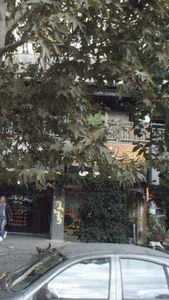 کپی