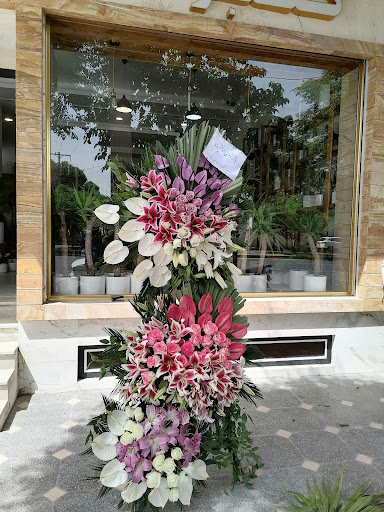 گلفروشی گلبرگ شعبه مالک اشتر