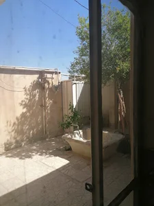 مطب دکتر شمیان