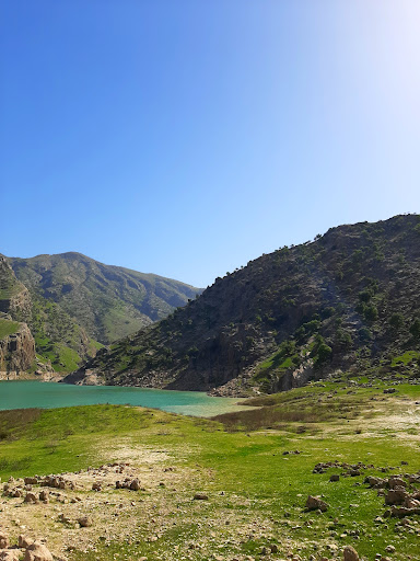 ایذه _ سوسن روستای حاجیان Jm7
