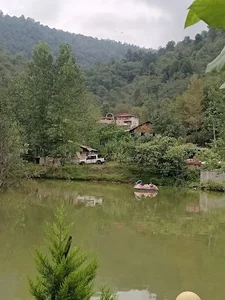 کلبه جنگلی امیر محمد بخشی