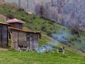 شیلات امین آباد