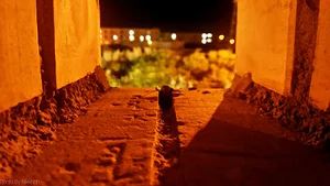 خوابگاه شهید خاندایی