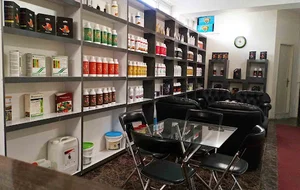 گروه شرکت های ادن