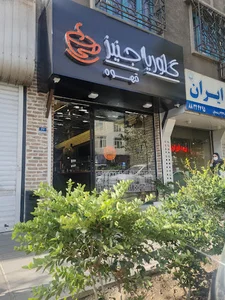 گلوریا جینز