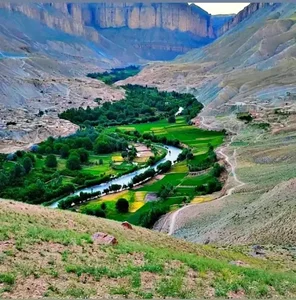 بنگاه آهن آلات و مصالح ساختمانی احمدی