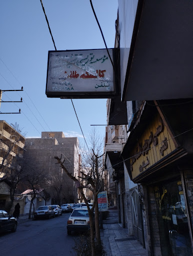تاکسی سرویس کالسکه طلایی
