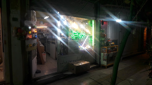 دنیای کنترل(الکتریکی وقاری)