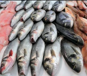 مرغ و گوشت صادقی