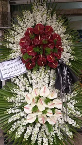 گل رزا 3
