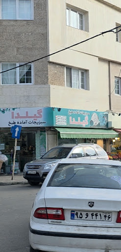 سبزیجات آماده طبخ گیلدا