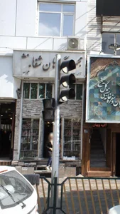 مجموعه گیاهان شفا 2