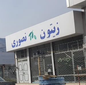 زیتون محمدحسین 4