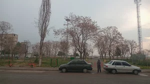 بوستان لاله