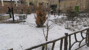 بوستان فردوس
