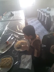 ساندویچ بهار نارنج