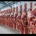 قصابی کریم