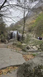 موزه حیات وحش ماسوله