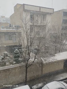 فلسطین غربی
