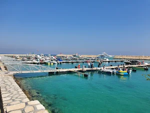 مارینا کیش