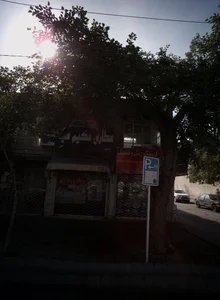 عطاری حکیم سید