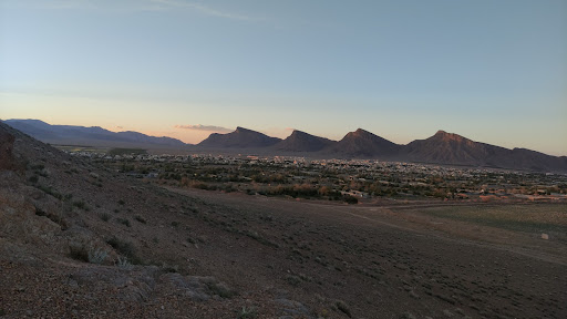 بام علویجه