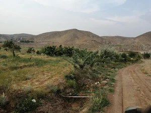 کشت وصنعت سبز (خسروی)