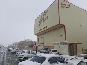 شرکت صنایع فرش دهکده سبز کویر