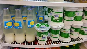 جگرکی شهریار 2