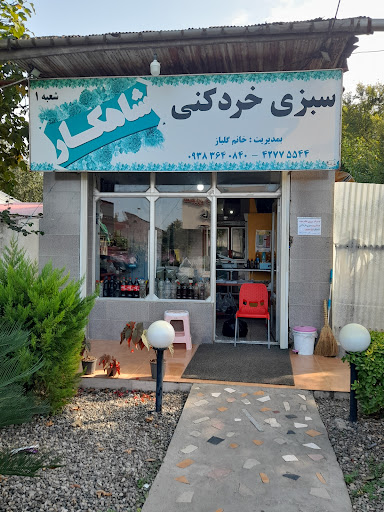 سبزی خردکنی شاهکار خانم گلباز