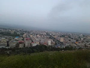 املاک ولیعصر علیرضا