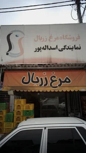 فروشگاه مرغ زربال 3