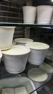 لبنیات چشمه ملک