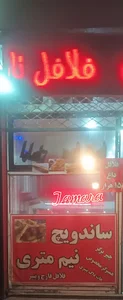 فلافلی تامارا