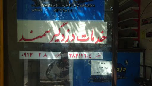 خدمات دزدگیر سمند